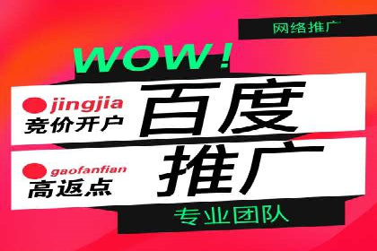 SEO技术突破：某网站流量暴增的背后故事